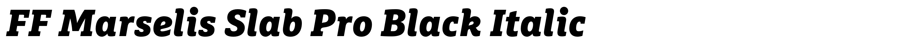 FF Marselis Slab Pro Black Italic